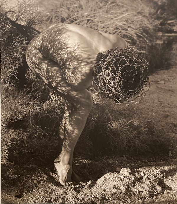 Herb Ritts - Male nude with thorns Joshua tree