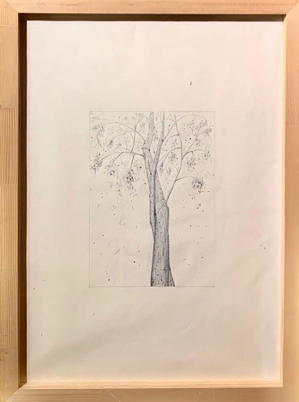 Luca Francesconi : Untitled  (2005)  - Drawing on paper - Auction + Contemporary Art - Blindarte Casa d'Aste