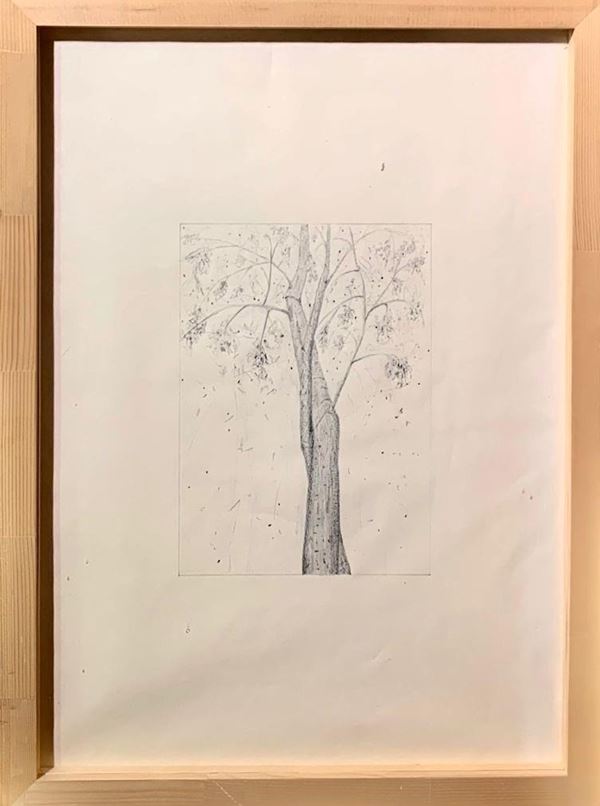 Luca Francesconi - Untitled