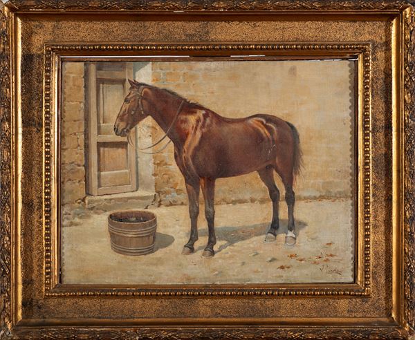 Vincenzo Caprile - Cavallo 