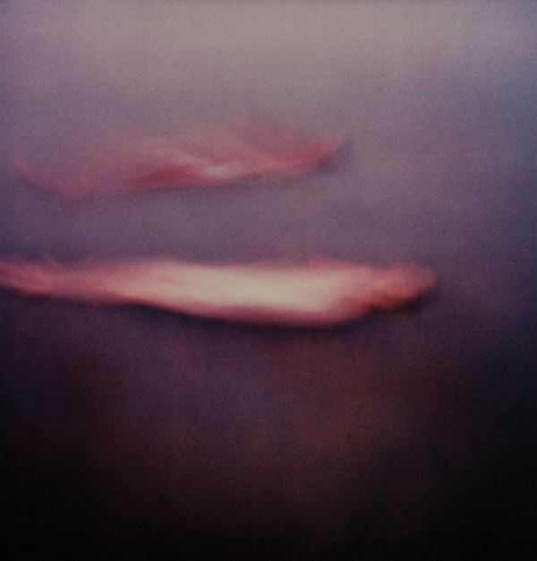 Michal Rovner - One-Person Game Against Nature I