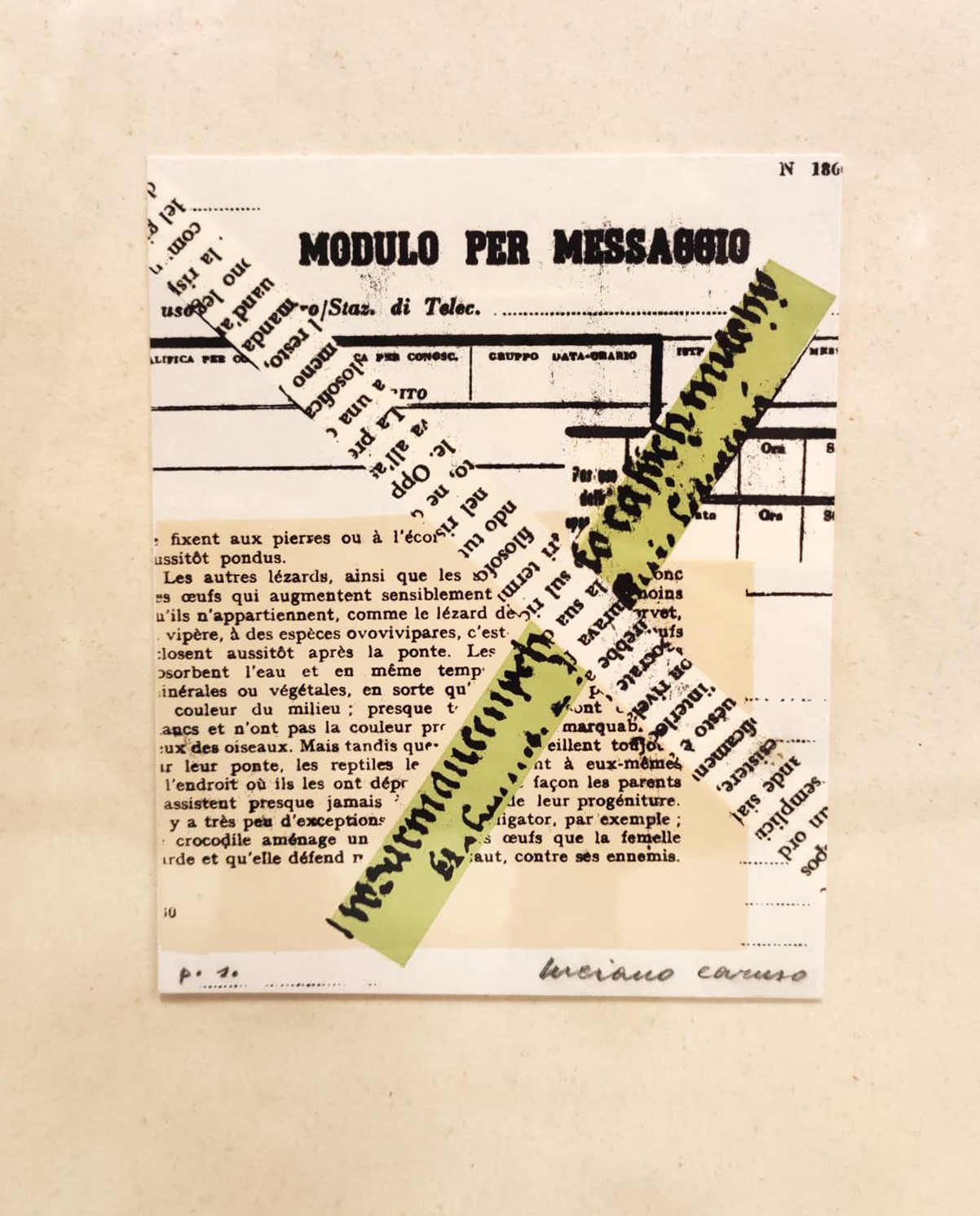 Luciano Caruso - Modulo per Messaggio