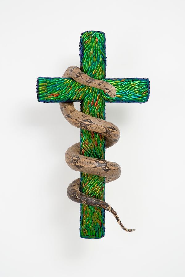 Jan Fabre : Cross With Snake II  (2012)  - Ali di scarabeo gioiello su tavola, serpente imbalsamato - Asta Arte Moderna e Contemporanea - Blindarte Casa d'Aste