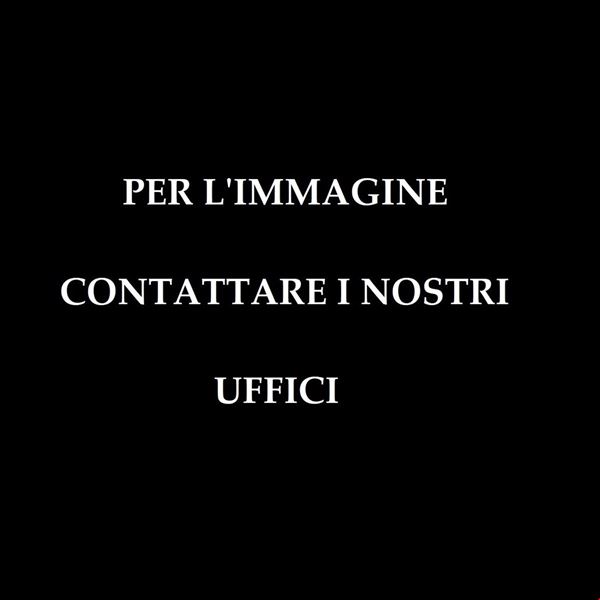 Valerio Berruti : I can fly   (2007)  - Affresco su juta - Asta Arte Moderna e Contemporanea - Blindarte Casa d'Aste