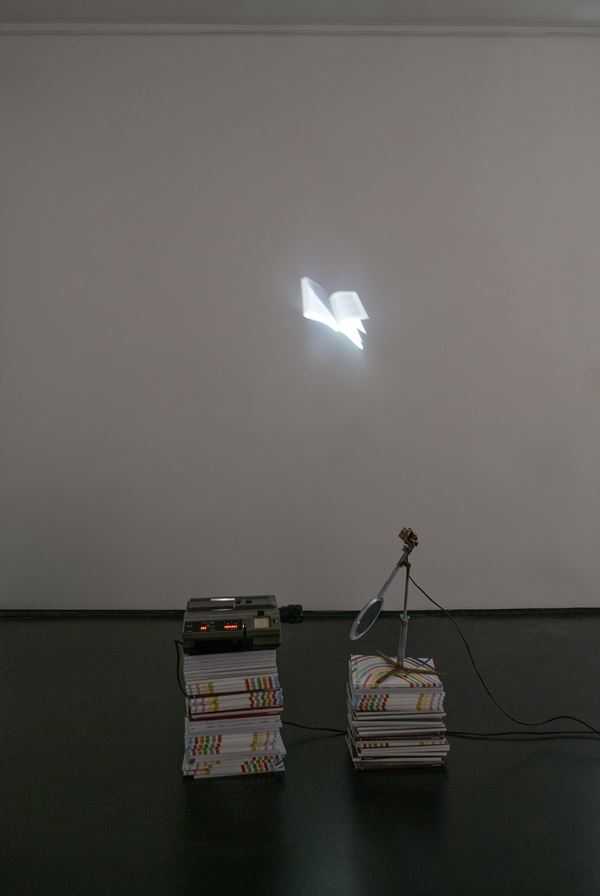 Eulalia  Valldosera : Senza titolo  (2009)  - Proiettore, diapositiva, specchio con motore elettrico, libri (questi ultimi non inclusi) - Asta Arte Moderna e Contemporanea - Blindarte Casa d'Aste