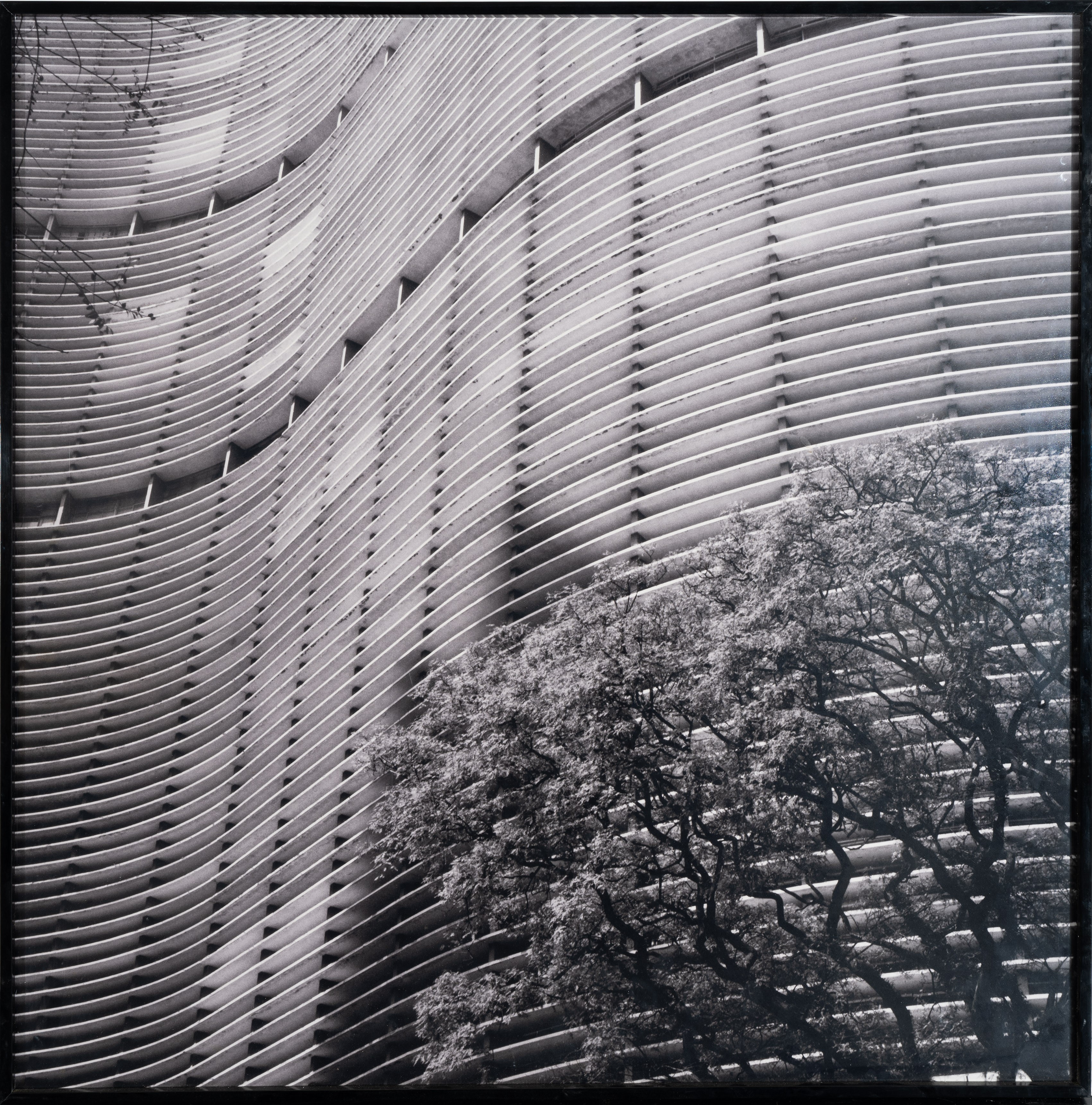 Salvino Campos - Edificio Copan, São Paulo