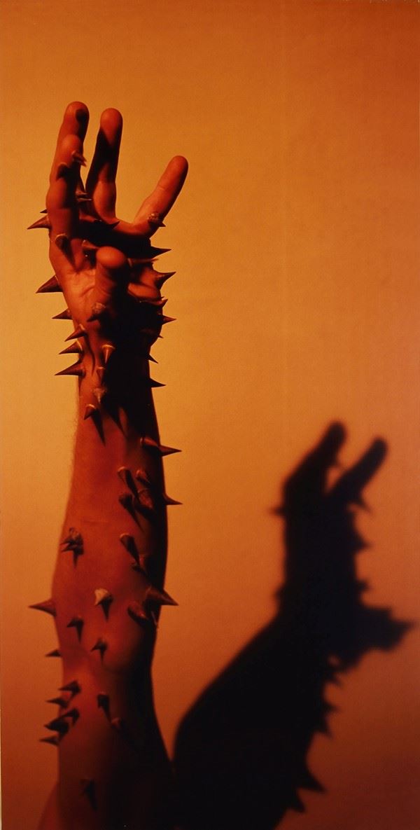 Miquel Navarro - Brazo Cactus