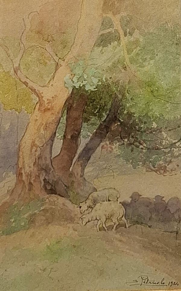 Salvatore  Petruolo (Catanzaro, 1857 - Napoli, 1946) - Pecorelle al pascolo