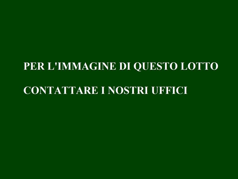 Valentina D'amaro - Senza Titolo
