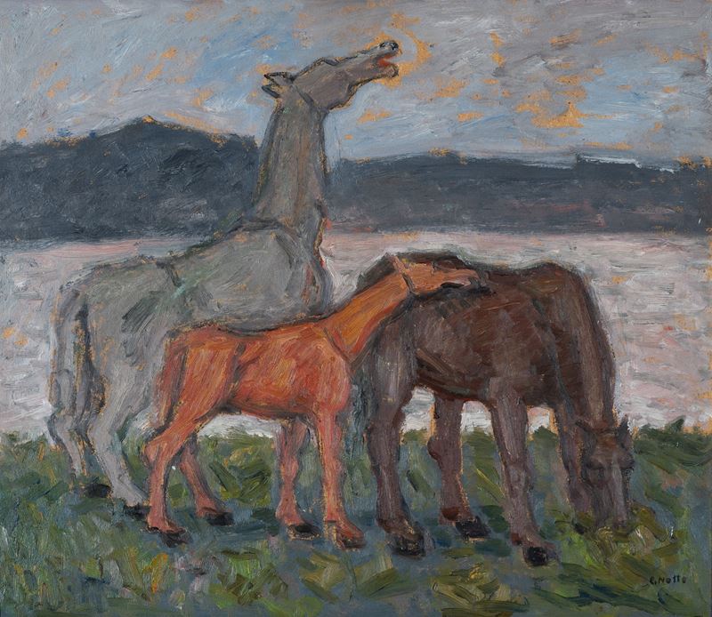 Senza titolo (Cavalli)