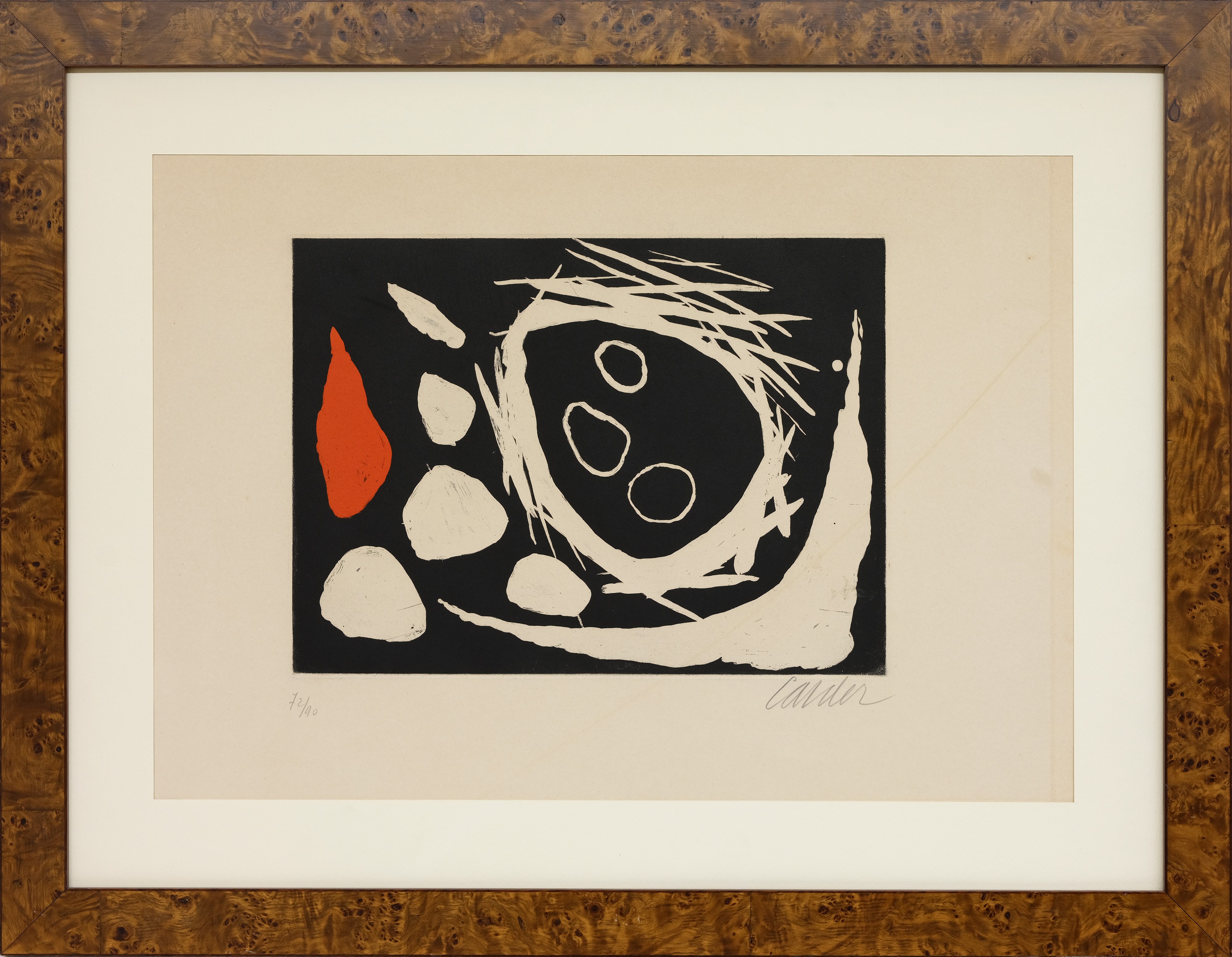 Le crâne dans le nid