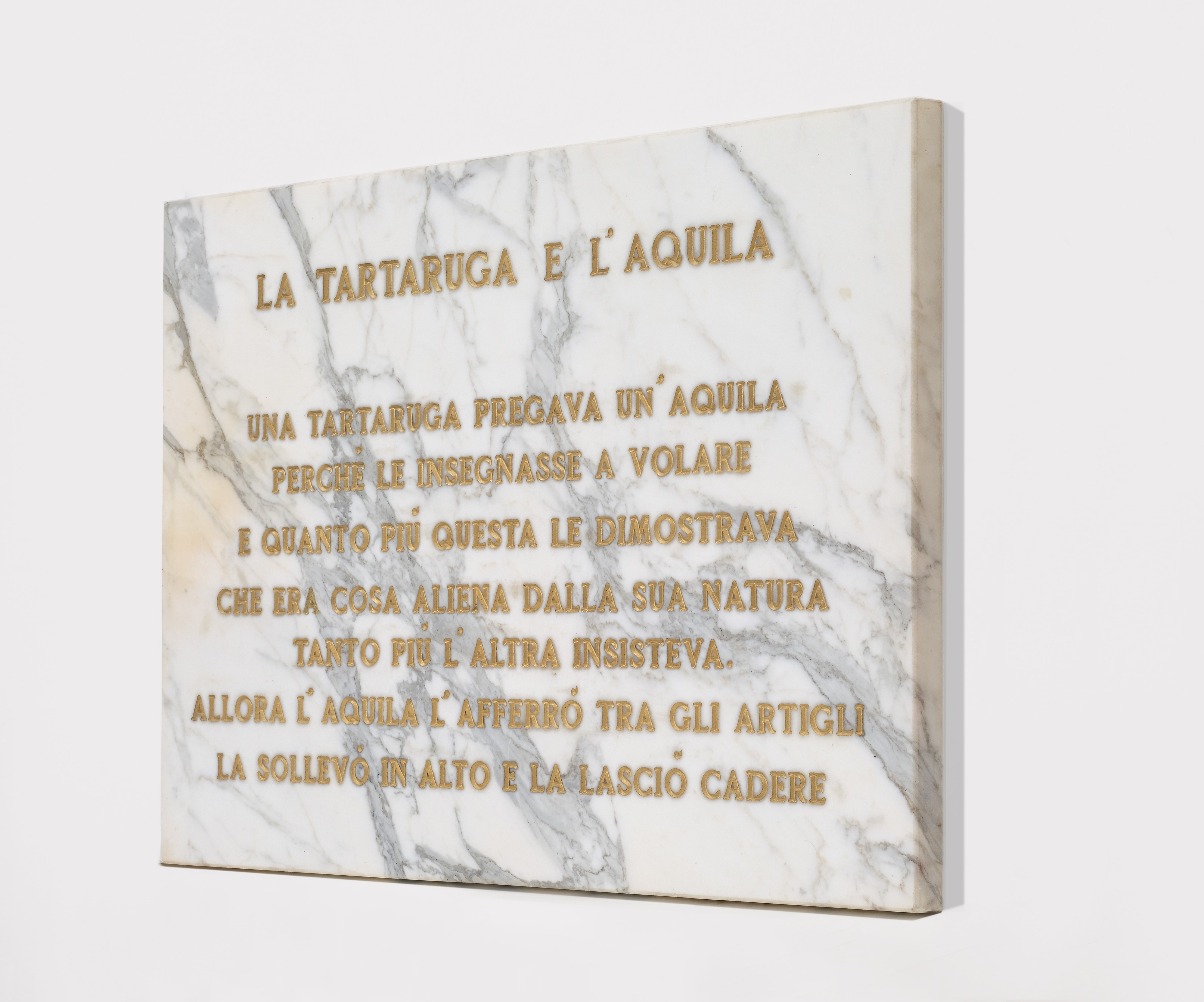 La tartaruga e l'aquila