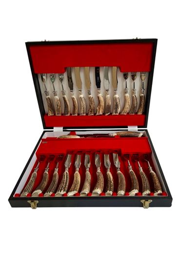 Set di 12 Forchette, 12 Coltelli, 1 Coltello e 1 Forchetta da Portata