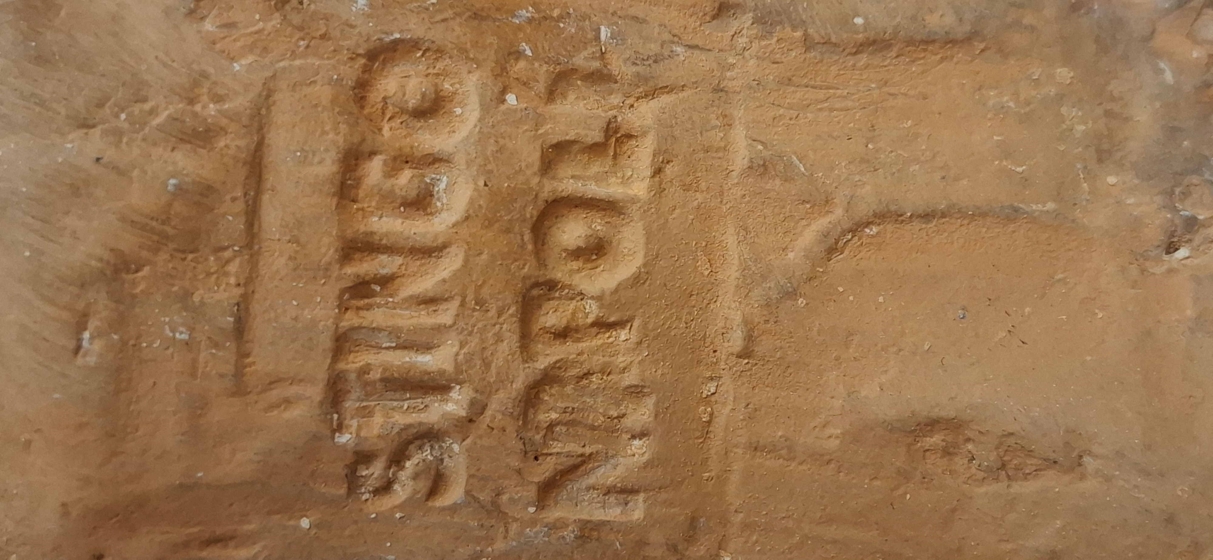 Giovane pescatorello