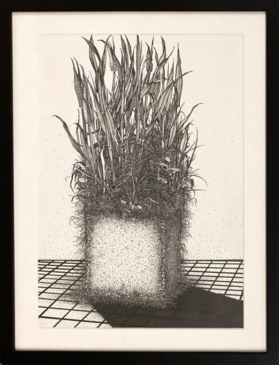 Carotaggio