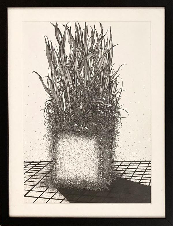 Nicola Toffolini - Carotaggio