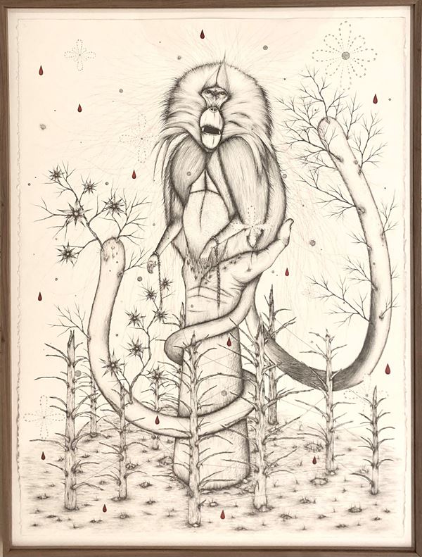 Davide Zucco - Untitled