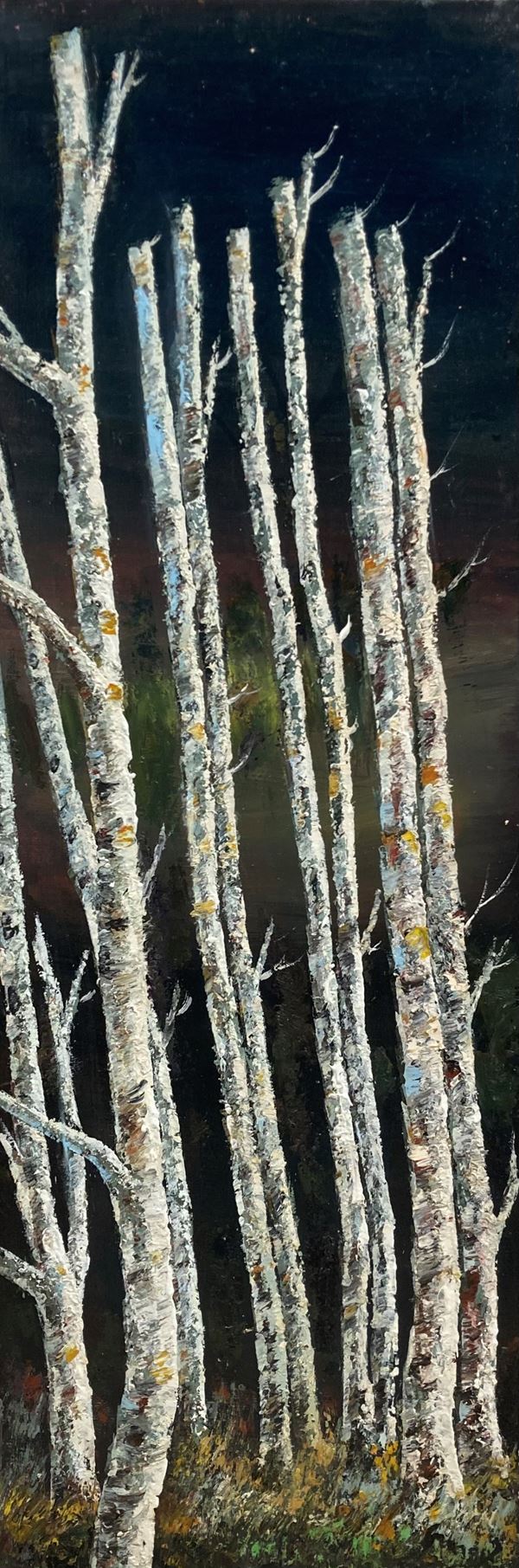 Francesco Grassi - Suggestione e forma della natura