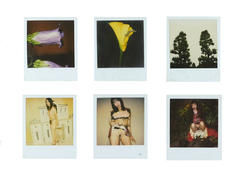 Nobuyoshi Araki - Lotto unico di 6 Polaroid