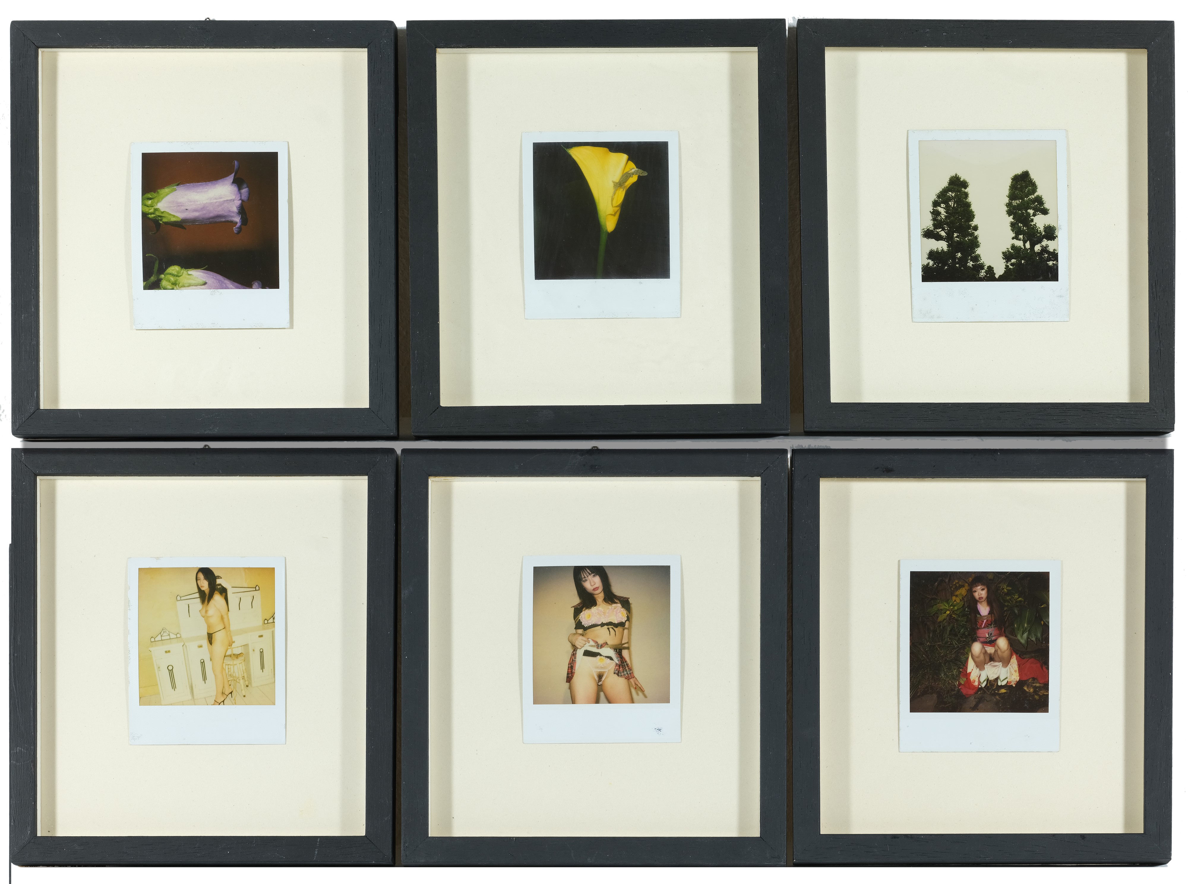 Nobuyoshi Araki - Lotto unico di 6 Polaroid