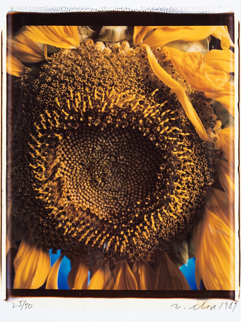 Close Chuck - Sunflower, stampa a trasferimento di diffusione di colorante interno