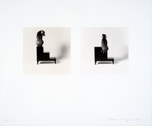 William Wegman - Second and Third Steps (Diptych)