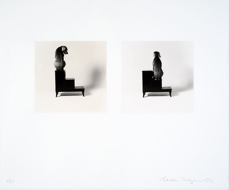 William Wegman - Second and Third Steps (Diptych), 1989 - Stampe alla gelatina ai sali d'argento