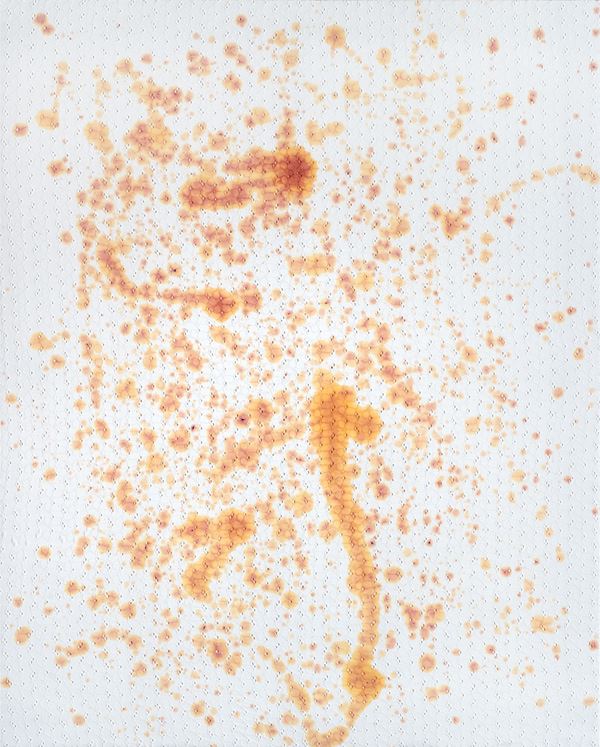 Nick Farhi - La tintura / A wander past the woodied world