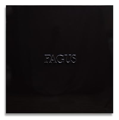 Fagus, vernice industriale su metallo, 1983