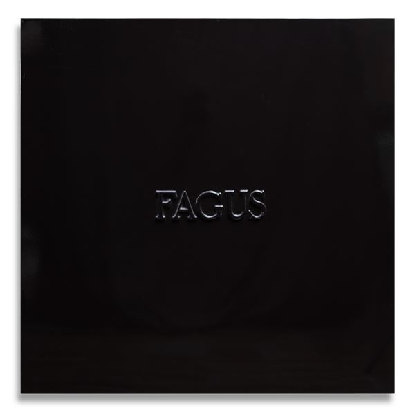 Alighiero  Boetti - Fagus