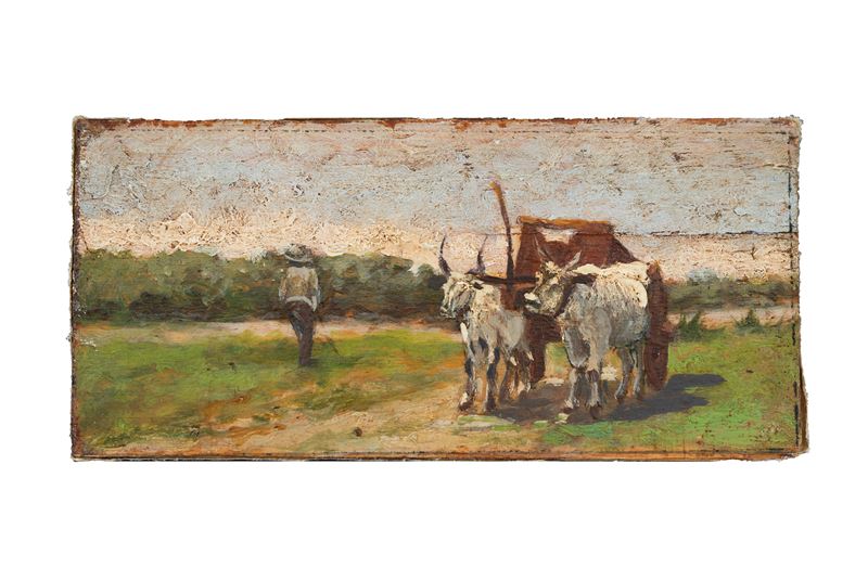 Maremma toscana, paesaggio campestre
