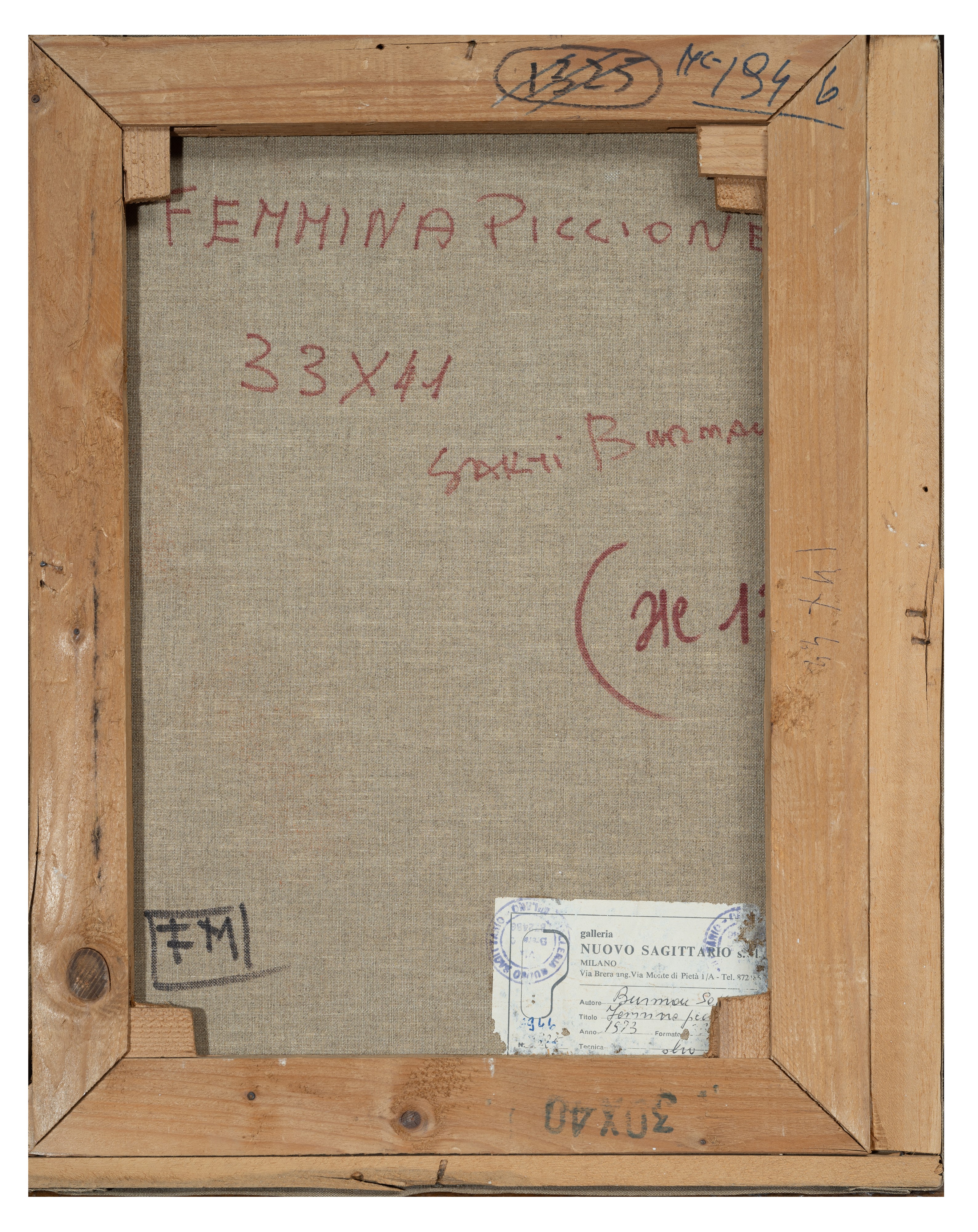 Femmina piccione