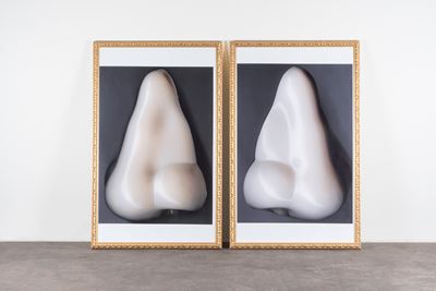 Dittico “Nose”