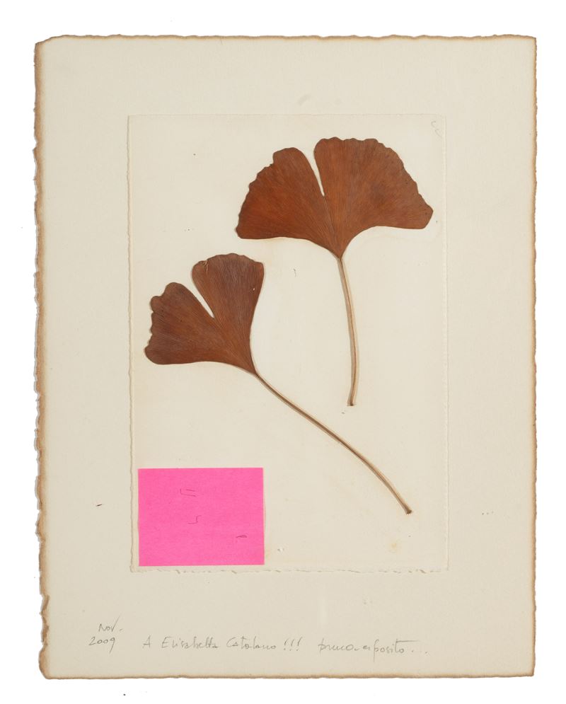 Bruna Esposito - Senza titolo (matita e collage su cartoncino, 2009)