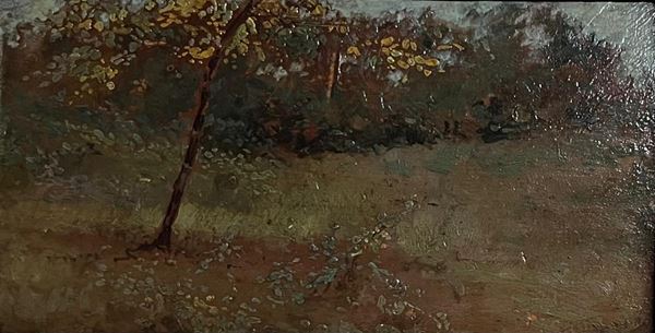 Federico  Rossano (Napoli, 1835 -1912) - Paesaggio boschivo