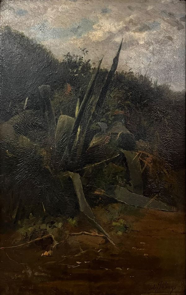 Scuola napoletana XIX secolo - Agave