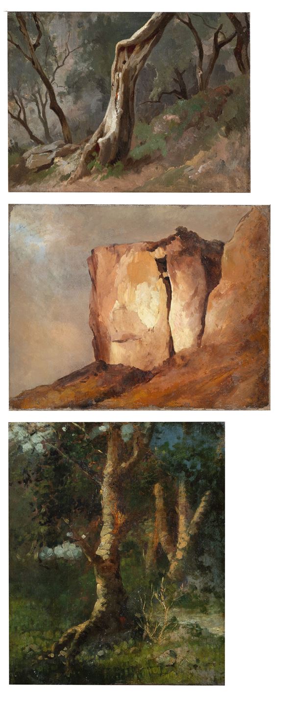 Scuola napoletana, XIX secolo - a) Study for shrubs; b) Study for rocky landscape; c) Study for rocky landscape