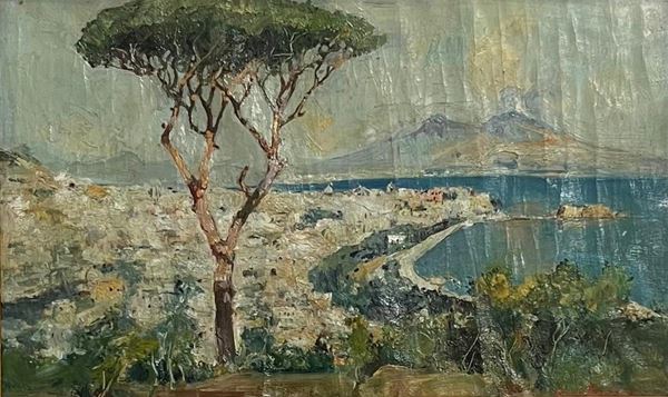 Guido Casciaro - Panorama del golfo di Napoli